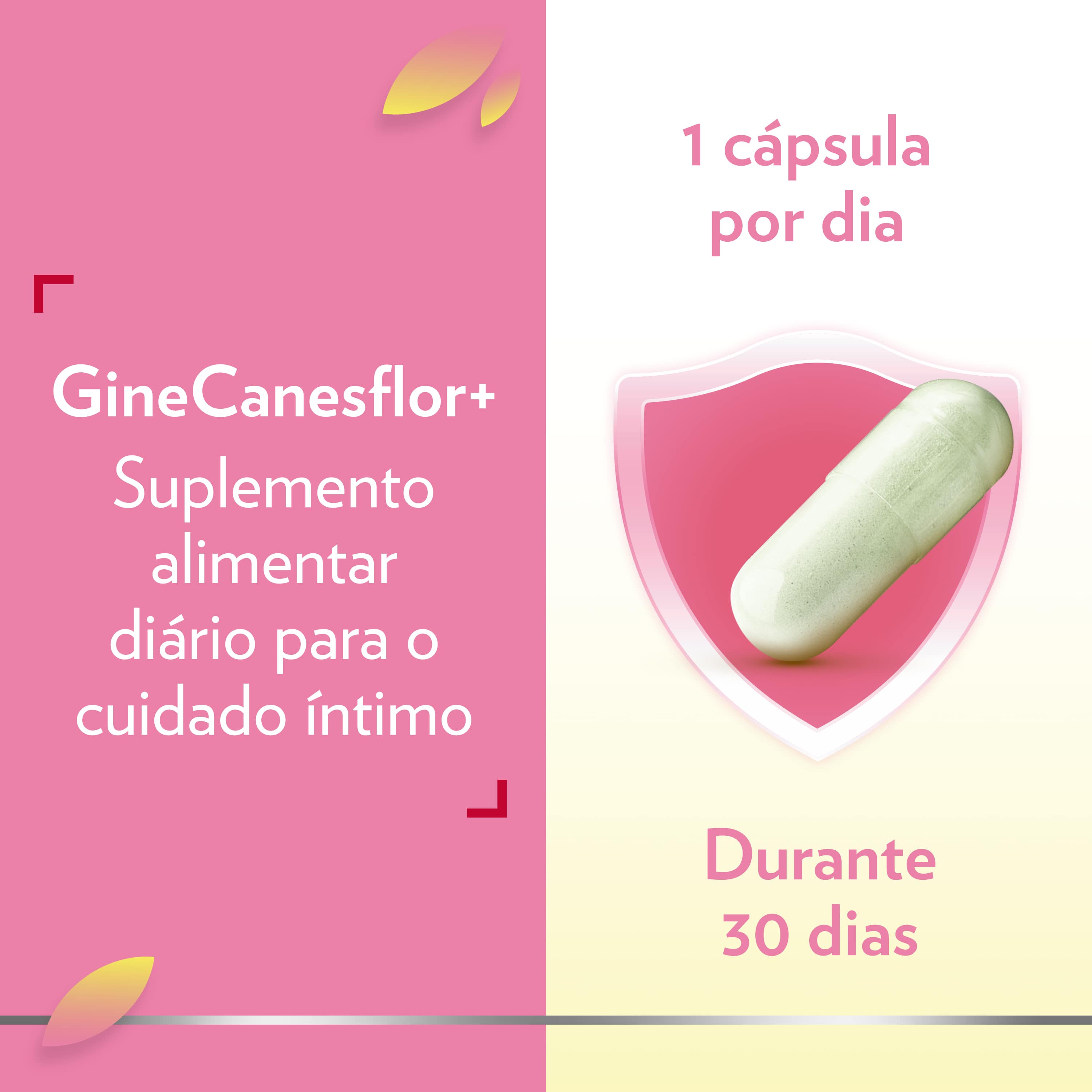 bote GineCanesflor+ 5