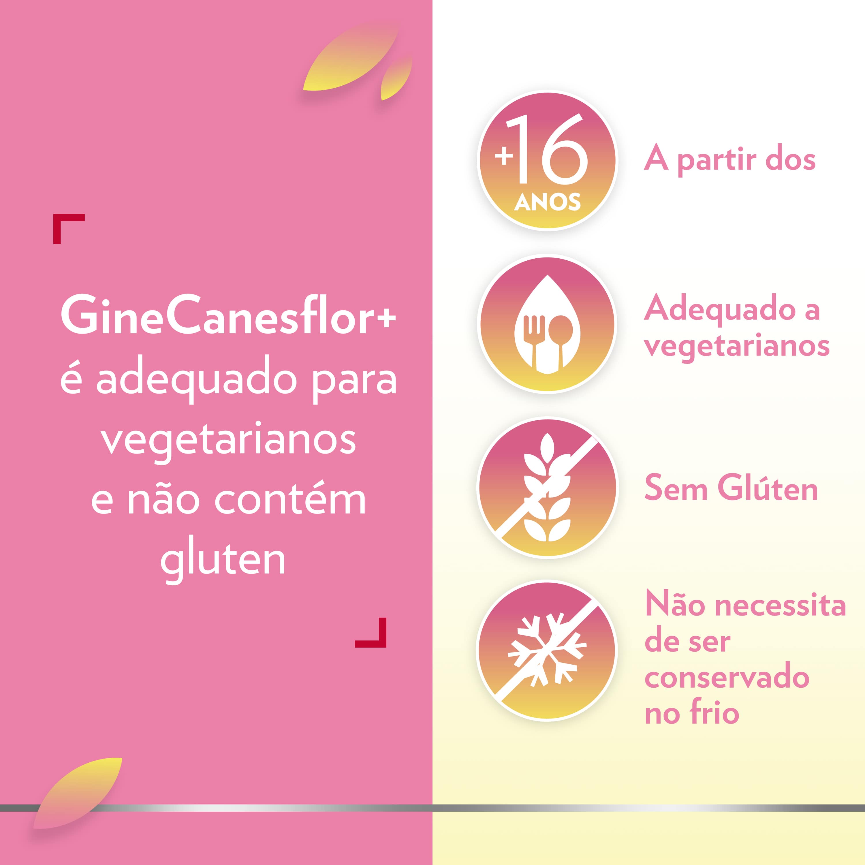 bote GineCanesflor+ 6